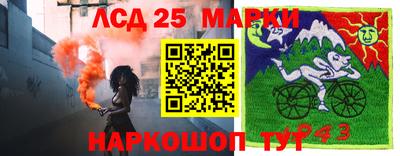 гашик Лесосибирск