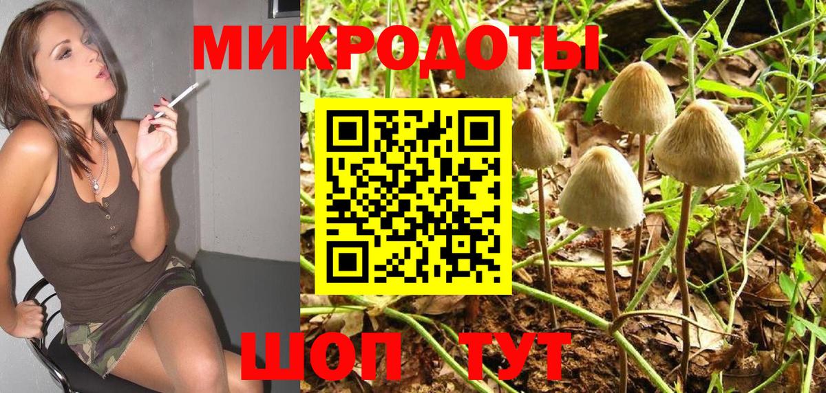 купить  цена  Вход с VPN  Псилоцибиновые грибы ЛСД  Горно-Алтайск  Псилоцибиновые грибы ЛСД 