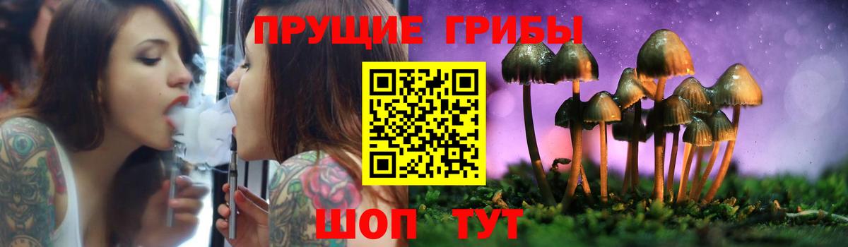Псилоцибиновые грибы прущие грибы Горно-Алтайск